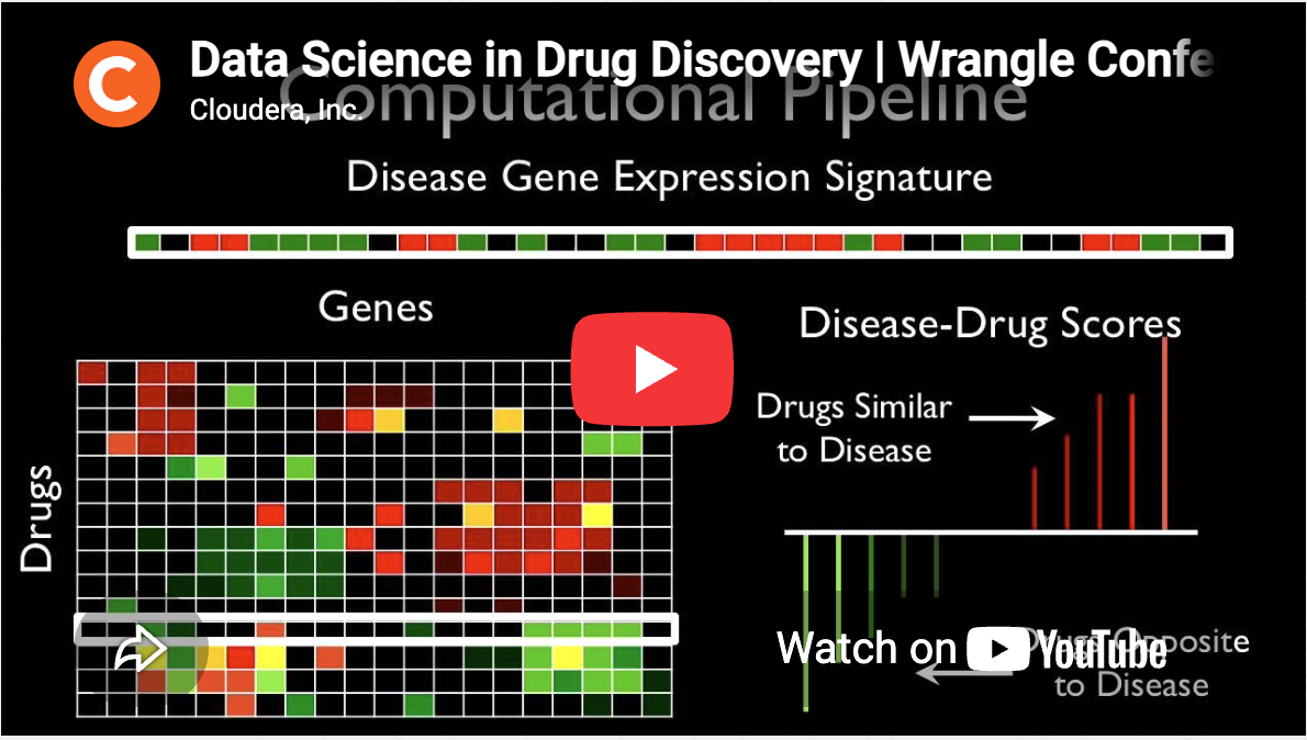 Thumbnail for Data Science in Drug Discovery | Wrangle Conference. Click to open.